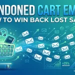 Abandoned Cart Emails How to Win Back Lost Sales